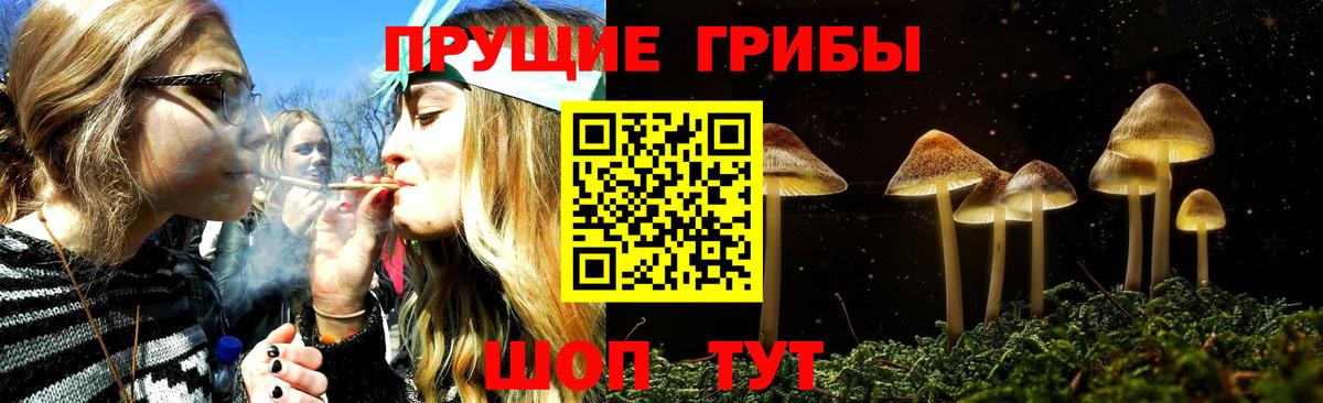 хочу   Галлюциногенные грибы Magic Shrooms  Вход с VPN  Гусь-Хрустальный 